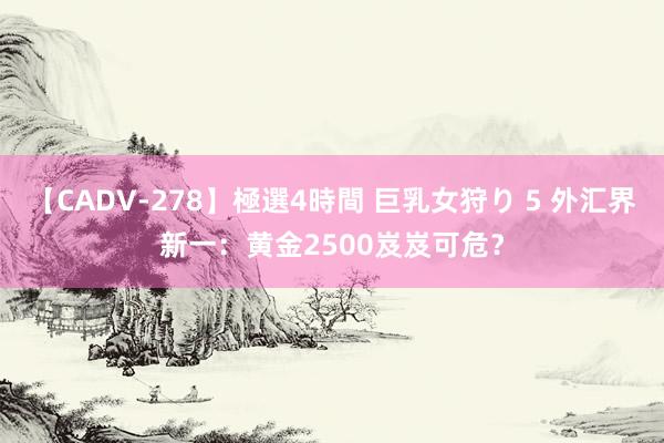 【CADV-278】極選4時間 巨乳女狩り 5 外汇界新一：黄金2500岌岌可危？