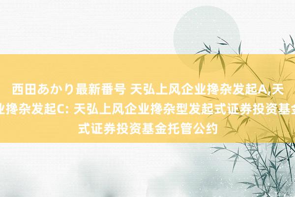 西田あかり最新番号 天弘上风企业搀杂发起A,天弘上风企业搀杂发起C: 天弘上风企业搀杂型发起式证券投资基金托管公约