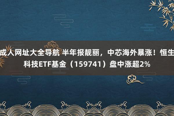 成人网址大全导航 半年报靓丽，中芯海外暴涨！恒生科技ETF基金（159741）盘中涨超2%
