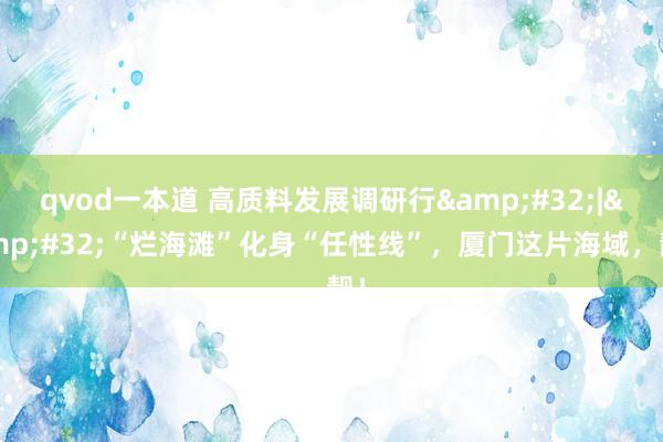 qvod一本道 高质料发展调研行&#32;|&#32;“烂海滩”化身“任性线”，厦门这片海域，靓！