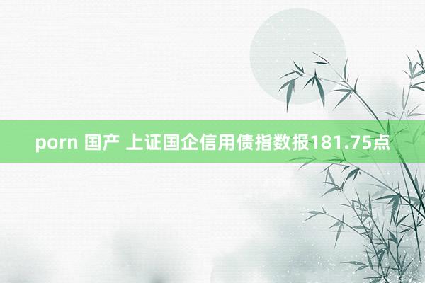 porn 国产 上证国企信用债指数报181.75点