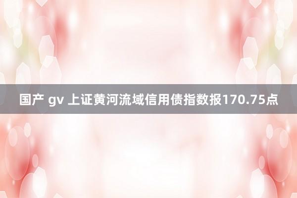 国产 gv 上证黄河流域信用债指数报170.75点