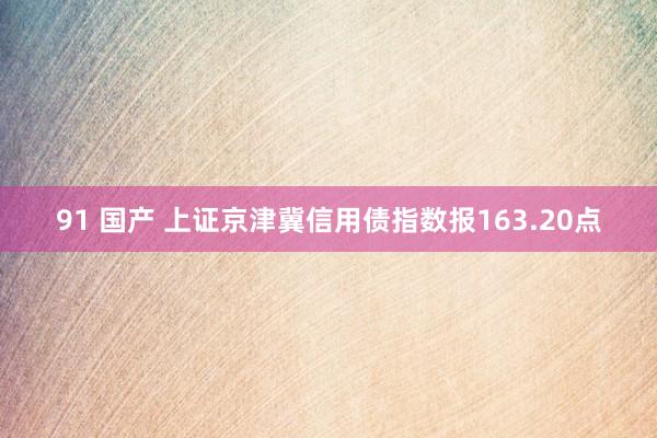 91 国产 上证京津冀信用债指数报163.20点