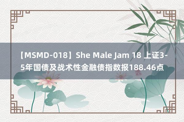 【MSMD-018】She Male Jam 18 上证3-5年国债及战术性金融债指数报188.46点