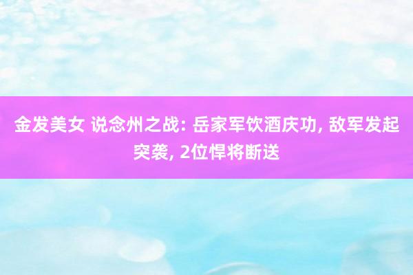金发美女 说念州之战: 岳家军饮酒庆功， 敌军发起突袭， 2位悍将断送