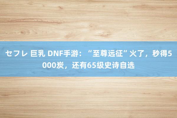 セフレ 巨乳 DNF手游：“至尊远征”火了，秒得5000炭，还有65级史诗自选