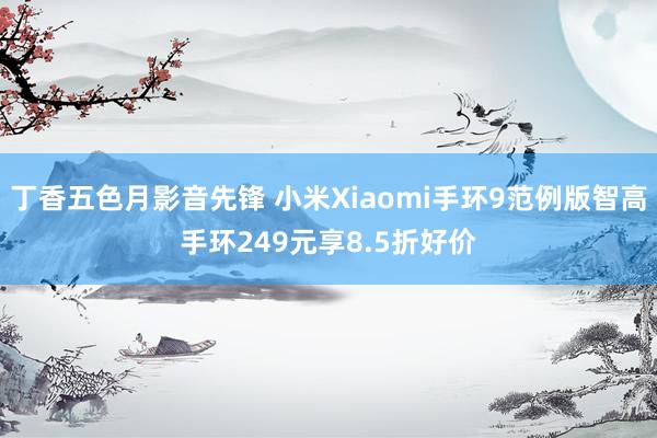 丁香五色月影音先锋 小米Xiaomi手环9范例版智高手环249元享8.5折好价