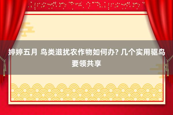 婷婷五月 鸟类滋扰农作物如何办? 几个实用驱鸟要领共享