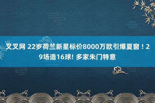 叉叉网 22岁荷兰新星标价8000万欧引爆夏窗 ! 29场造16球! 多家朱门特意
