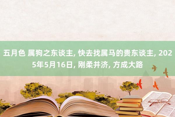 五月色 属狗之东谈主， 快去找属马的贵东谈主， 2025年5月16日， 刚柔并济， 方成大路
