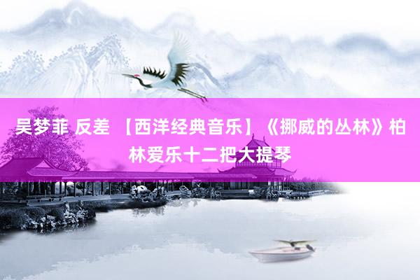 吴梦菲 反差 【西洋经典音乐】《挪威的丛林》柏林爱乐十二把大提琴